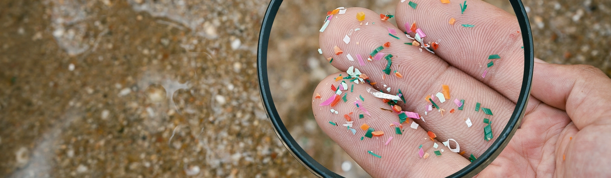 Microplastics in water: Understanding the risks