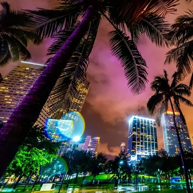 night city miami 10