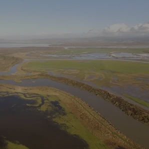 Bringing life back to California's historic waterways