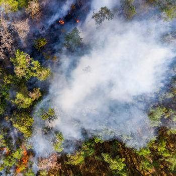 Aerial view of wildfire