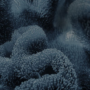 How can nature-inspired design improve water, energy and community outcomes insights spotlight