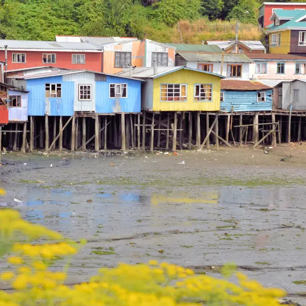 79837013_Raised houses in Chiloe