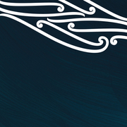 High resolution - Maori Business Services Banner - final.jpg