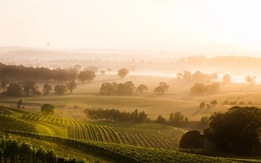 Sunrise across Hunter Valley vineyards