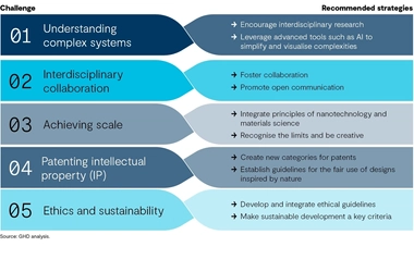 Biomimicry graphic holistic approach.jpg